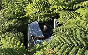 Driftwood- Hidden Gem, Great View In A Nature Setting